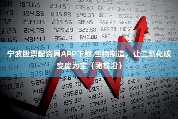 宁波股票配资网APP下载 生物制造，让二氧化碳变废为宝（瞰前沿）