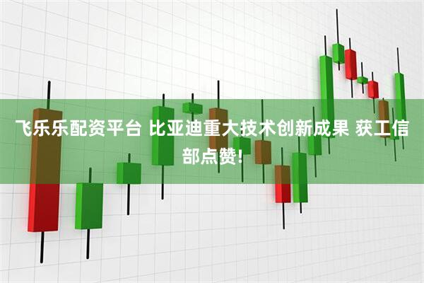 飞乐乐配资平台 比亚迪重大技术创新成果 获工信部点赞!